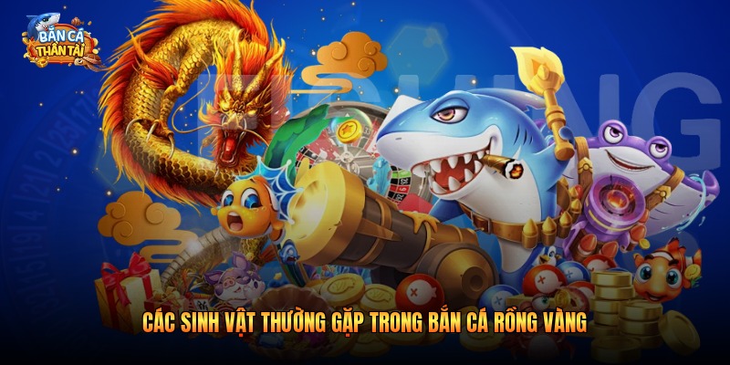 Các sinh vật thường gặp trong bắn cá rồng vàng