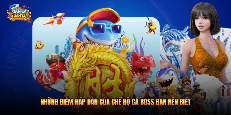 Những điểm hấp dẫn của chế độ cá boss bạn nên biết